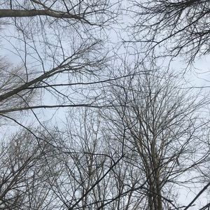 Meet your Posher, Maggie